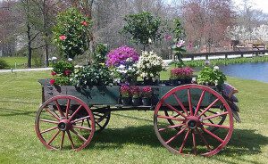 A flower wagon parked in a grass field with a lake in front