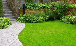 Garden with path and lush green grass.