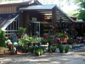 Outdoor garden center with various potted plants.