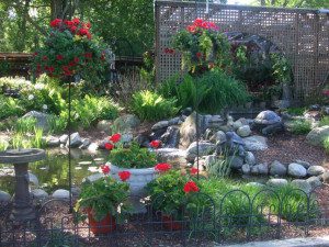 A garden with red flowers and plants in the background.