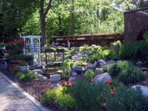 Serene garden featuring water elements