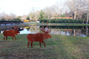 Metal moose sculptures by a reflective pond.