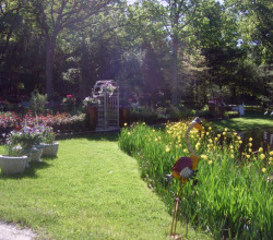 A garden with many flowers and trees