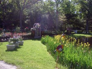 A garden with many flowers and trees