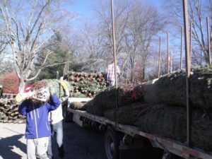 A truck full of hay and trees on the side.