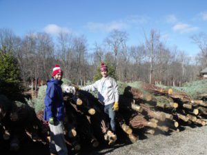Two men standing next to a pile of wood.