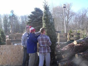 A group of people standing around trees and logs.