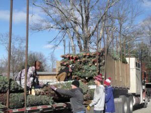 A group of people loading trees onto a truck.