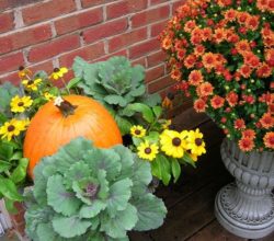 A pumpkin and flowers are sitting on the porch.