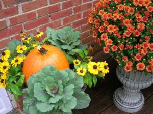 A pumpkin and flowers are sitting on the porch.