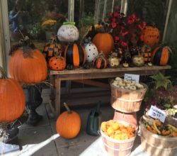 A table with pumpkins and other fruits on it