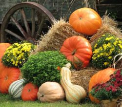 A pile of hay with pumpkins and flowers on top.