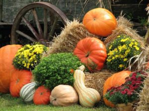 A pile of hay with pumpkins and flowers on top.