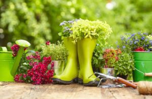 A pair of green boots with flowers in them
