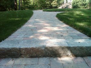 Stone pathway leading to a house entrance.