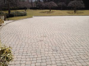 Paved courtyard with surrounding greenery and trees.