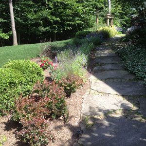 A garden with flowers and bushes in the background.