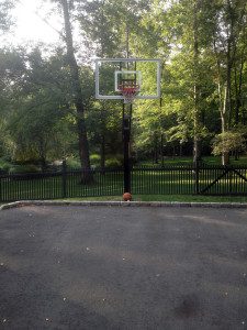 Basketball hoop in a wooded backyard.