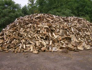 Large mound of assorted firewood logs