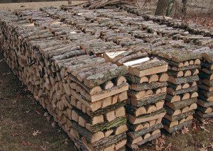 Neatly stacked firewood in rows