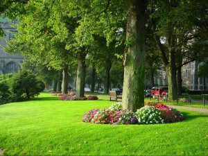 Park with trees and colorful flower beds.