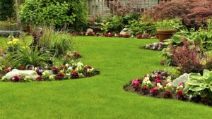 A garden with many flowers and grass