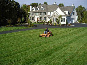 Person mowing large lawn in front of house.