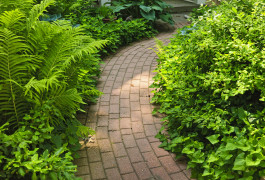 A closeup of the path on a garden with plants on both side