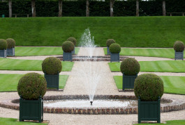 A beautiful gardening masterpiece with round trees and a fountain