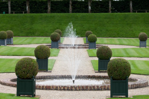 A beautiful gardening masterpiece with round trees and a fountain