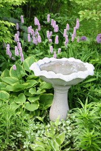 A garden bird bath