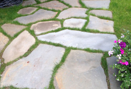 A walkway with grass growing on it