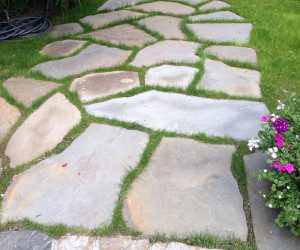 A walkway with grass growing on it