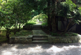 A pathway to a garden