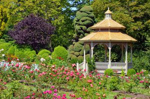 Beautiful gazebo surrounded by blooming roses.