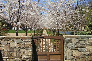 A wooden gate in front of a stone wall.