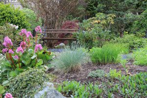 lots of trees and flower plants with a bench in the middle