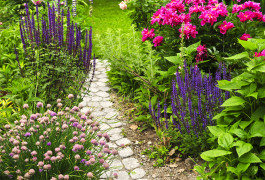 A flower garden pathway