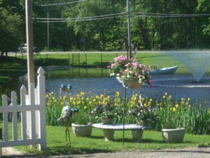 A bird sitting on the ground next to flowers.